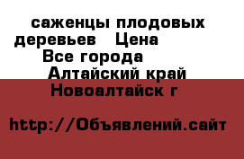 саженцы плодовых деревьев › Цена ­ 6 080 - Все города  »    . Алтайский край,Новоалтайск г.